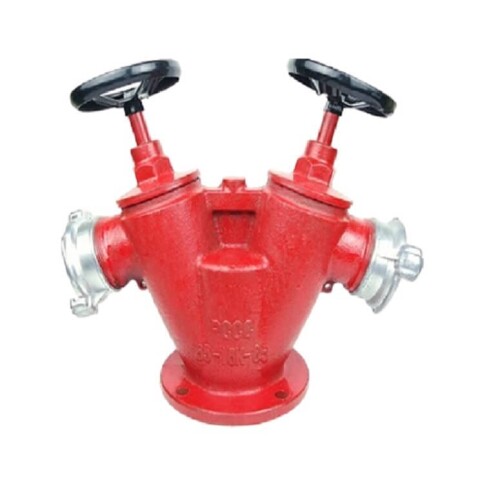 Họng tiếp nước chữa cháy 2 cửa DN65(MB100)
