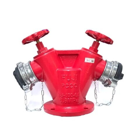 Họng tiếp nước chữa cháy 2 cửa DN65(MB80)