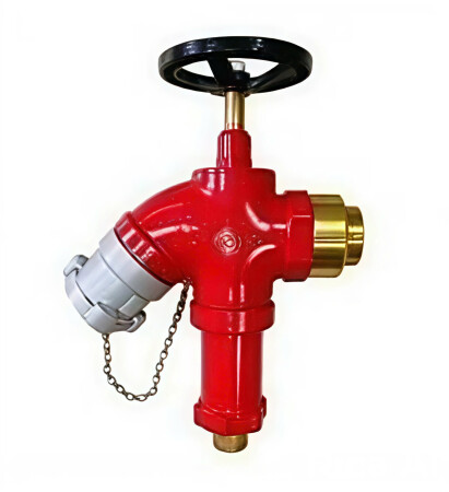 Van giảm áp DN65 đồng Tomoken_10