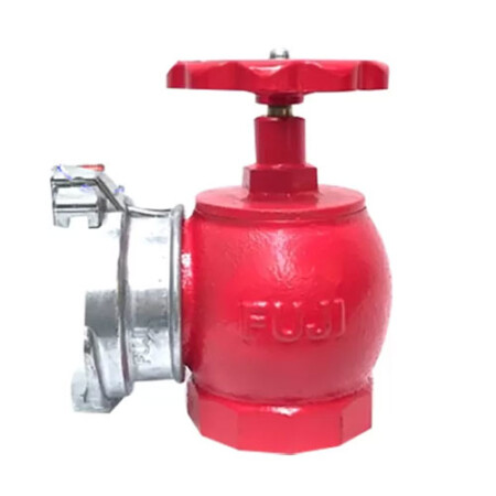 Van góc chữa cháy Fuji Vietlink FJVL- DN50_10